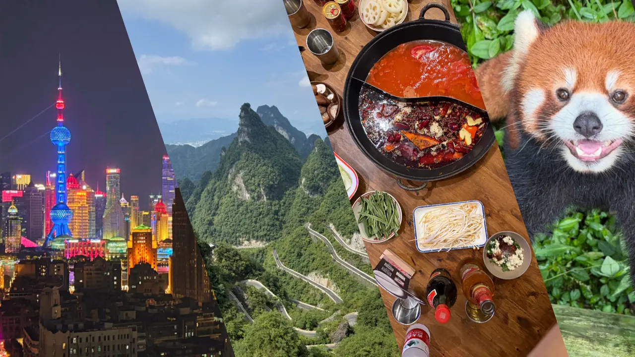 Four scenes from the trip spliced together: the neon Shanghai skyline, the winding road up Tianmen Mountain, a Chongqing hotpot, and a red panda.