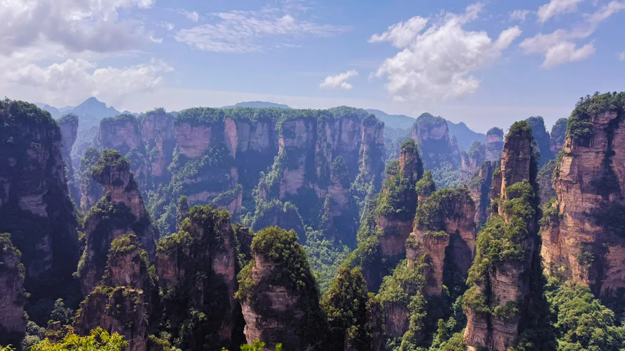 The Avatar sandstone pillars of Zhangjiajie rising out of green forest.